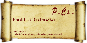 Pantits Csinszka névjegykártya